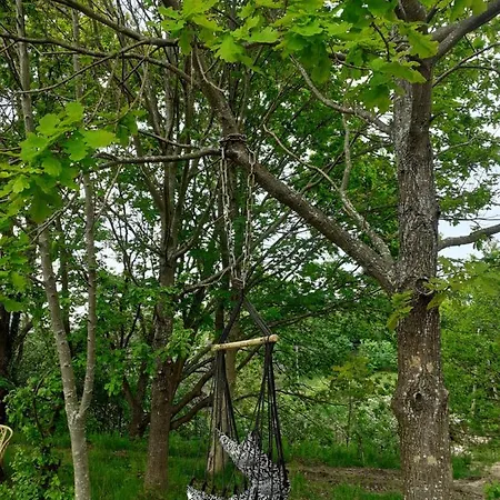 Ptasia Osada Dom Kwokacz 6-8 Osob Casa vacanze *